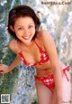 Mayuko Iwasa - Luxary Eroticas De P4 No.012113