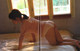 Natsumi Abe - Pc Pornstars Spandexpictures P2 No.795d17