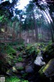 A couple of people walking through a forest next to a stream.